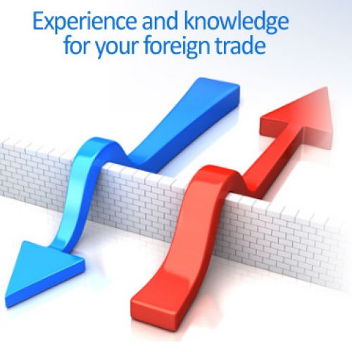 Dış Ticaret Danışmanlığı